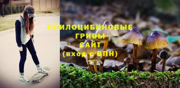 хмурый Богородицк