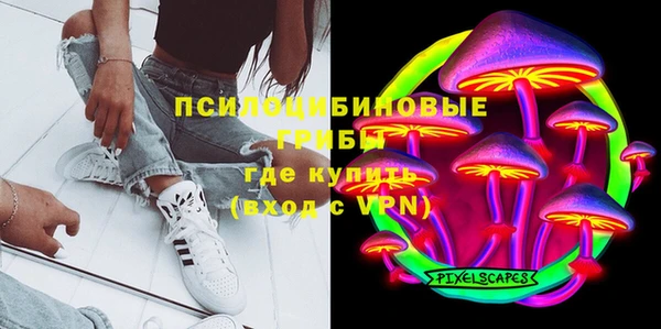 хмурый Богородицк