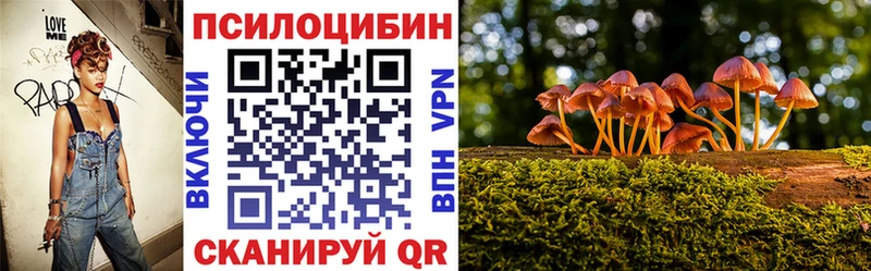 Псилоцибиновые грибы прущие грибы  Болохово 